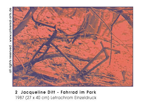 Jacqueline Ditt - Fahrrad im Park (Bicycle in the Park)