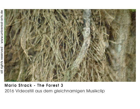 Mario Strack The Forest 3