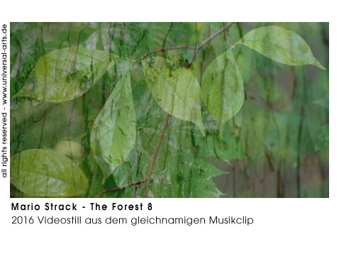 Mario Strack The Forest 8